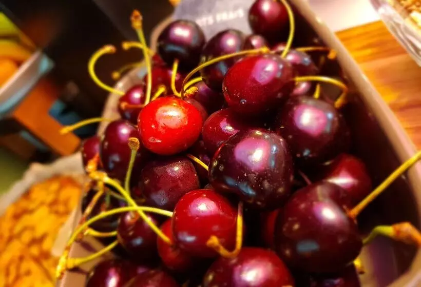 B&b Hotel Avignon Sud Parc Des Expositions