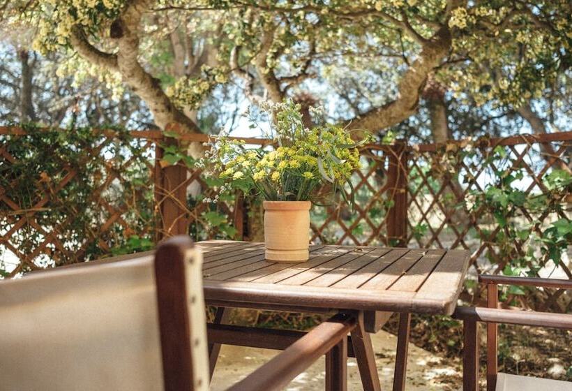 هتل روستایی Rural Sant Ignasi