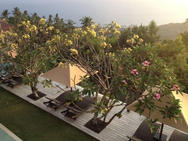 酒店 The Puncak Lombok