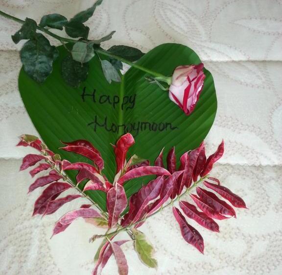 酒店 The Puncak Lombok