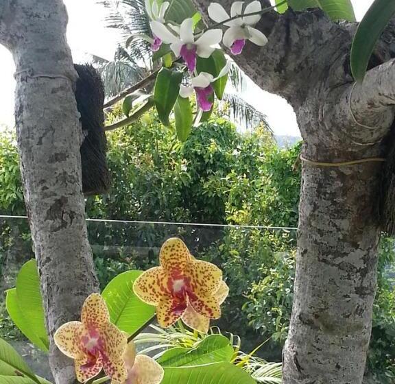 酒店 The Puncak Lombok