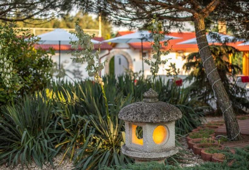 Отель Csipkerozsa Park