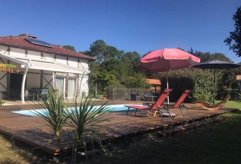 住宿加早餐  La Résinière De Pirique