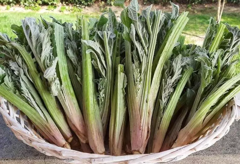 Hotelli Corte Degli Angeli