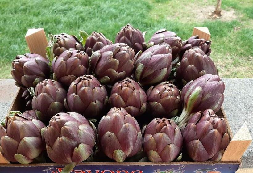 فندق Corte Degli Angeli