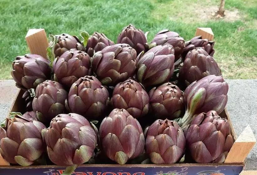 Hotelli Corte Degli Angeli