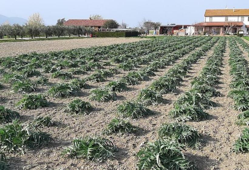 فندق Corte Degli Angeli