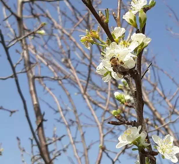 Hotelli Corte Degli Angeli