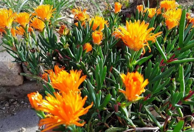 Hotelli Corte Degli Angeli