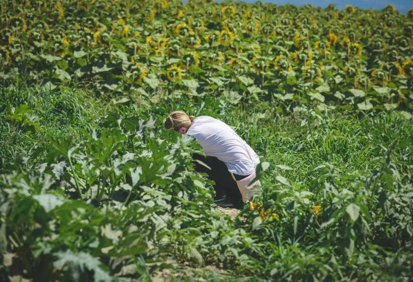 فندق Corte Degli Angeli