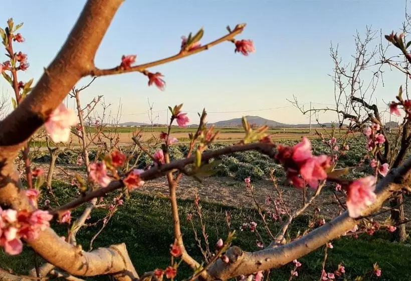 Hotelli Corte Degli Angeli