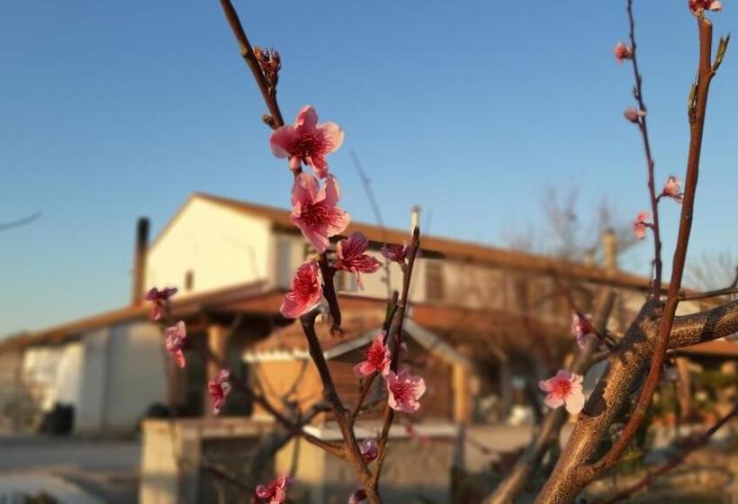 فندق Corte Degli Angeli