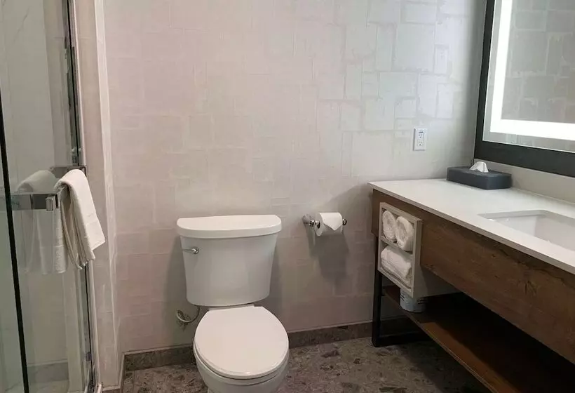 ホテル La Quinta Inn & Suites By Wyndham Santa Rosa Sonoma