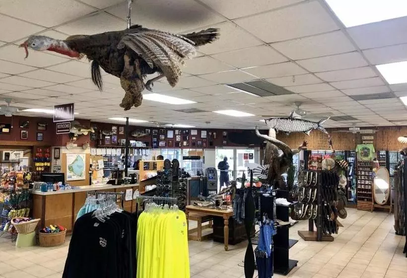 هتل Roland And Mary Ann Martin Resort