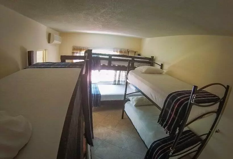 ペンション Pueblo Nomada   Hostel