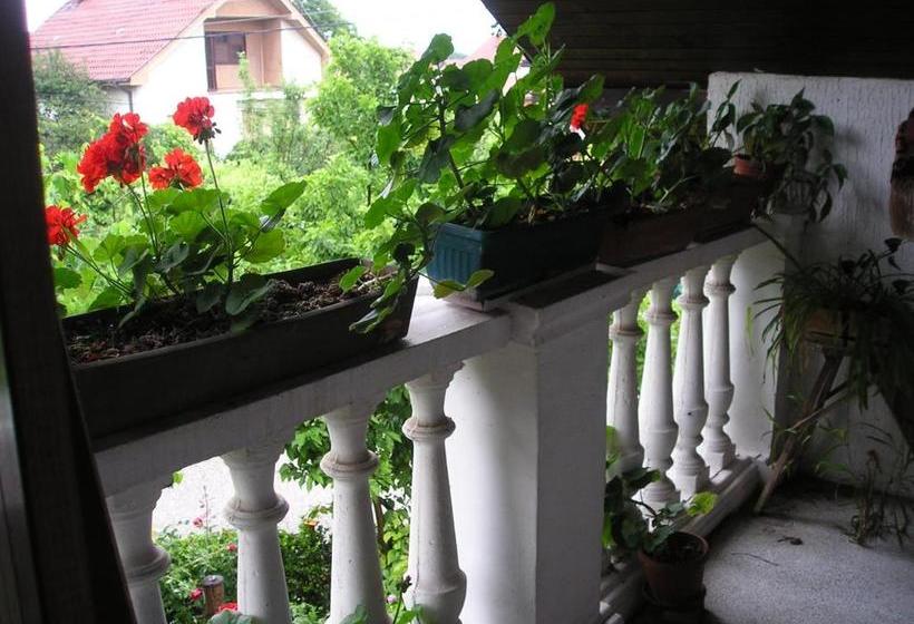 B&b Vila Na Belom Bregu