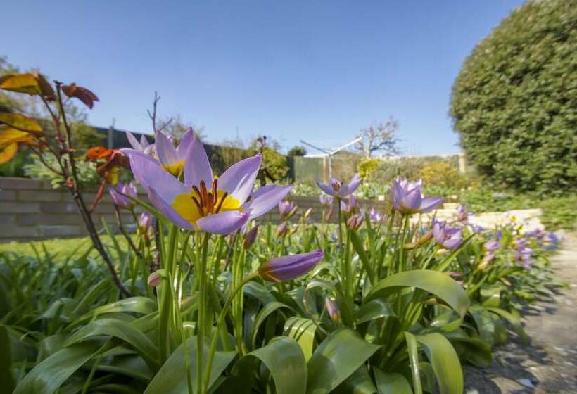 Dean Court Bungalow Parking By Brighton Holiday Lets