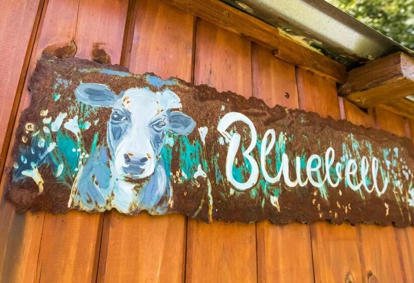 هتل Peace Corner Cottages