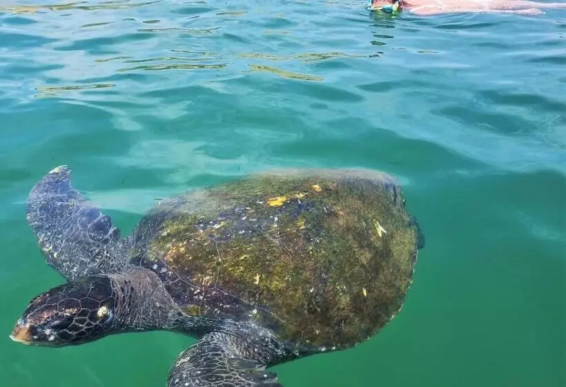 Hotelli Punta Del Norte Bungalows