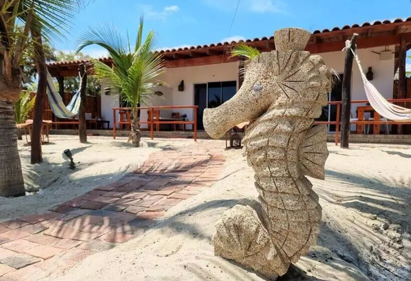 Hotelli Punta Del Norte Bungalows