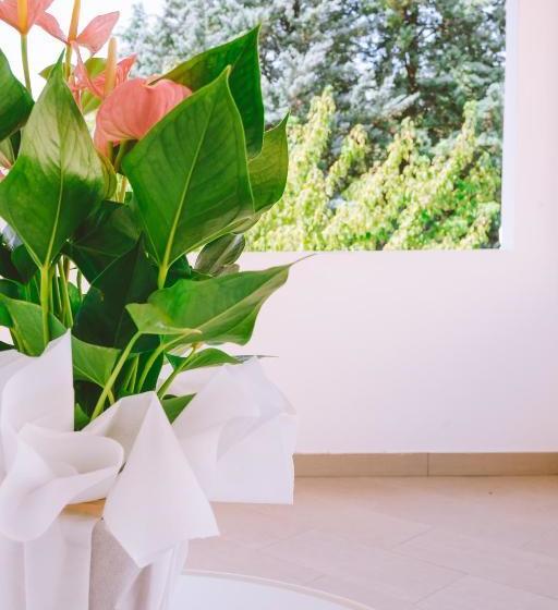 تختخواب و صبحانه La Petite Maison