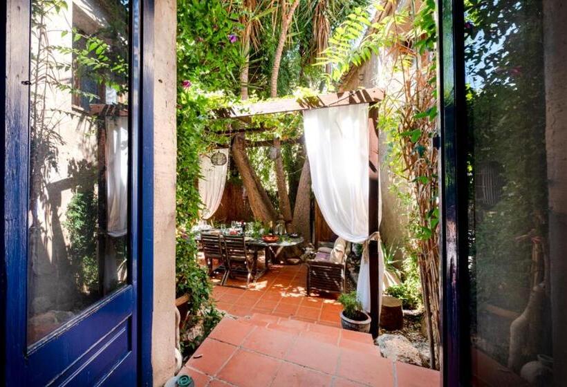 Bed and Breakfast Little Vine