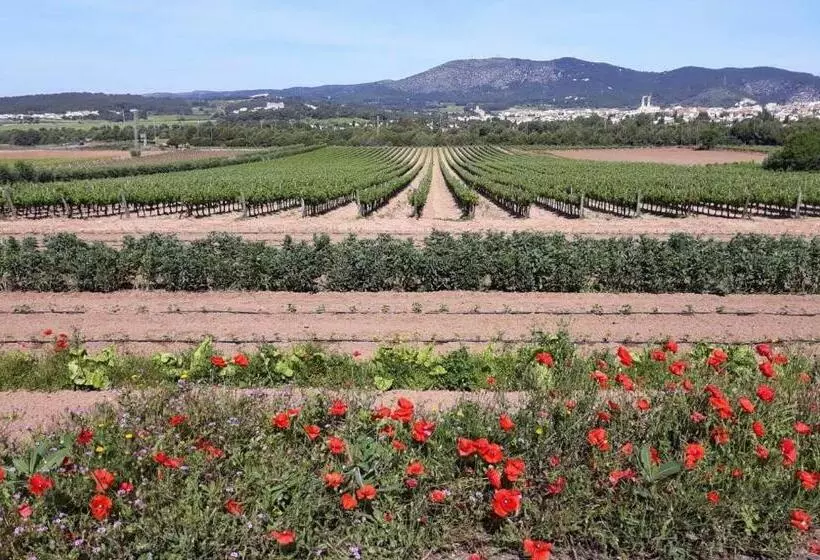تختخواب و صبحانه Little Vine