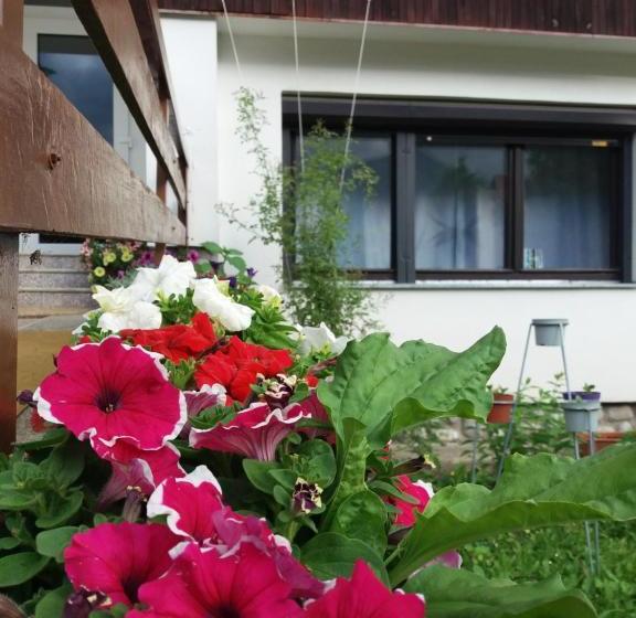 פנסיון Privat Tatry Dreams