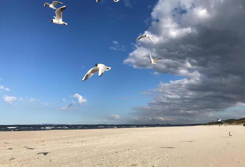 ベッドアンドブレックファースト Haus Störtebeker