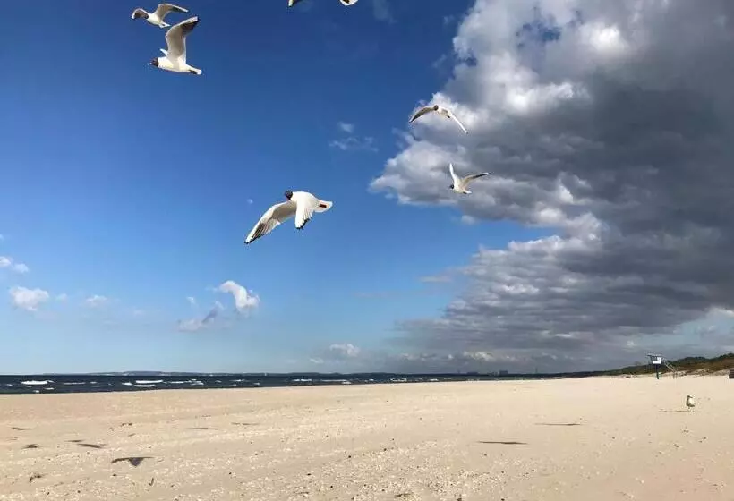 ベッドアンドブレックファースト Haus Störtebeker