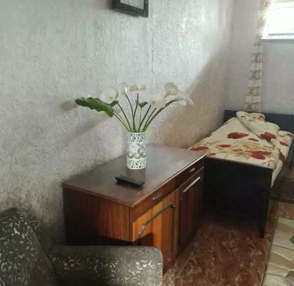 پانسیون Artur