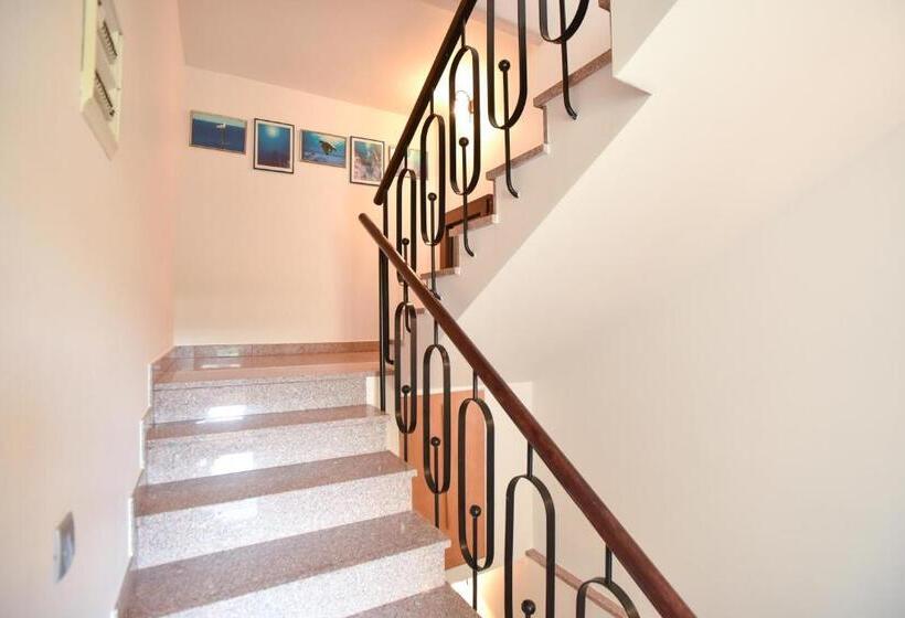 پانسیون Guest House Jedro