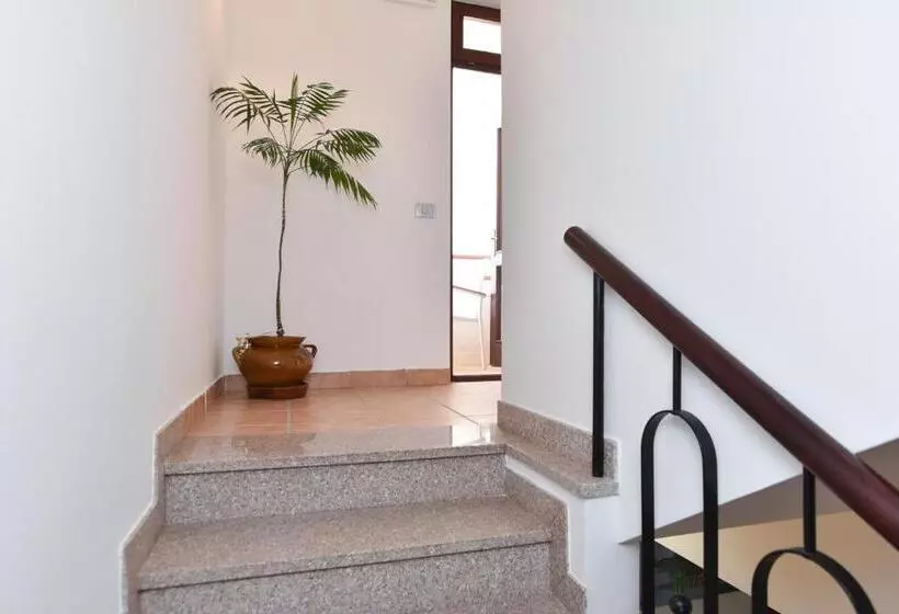پانسیون Guest House Jedro