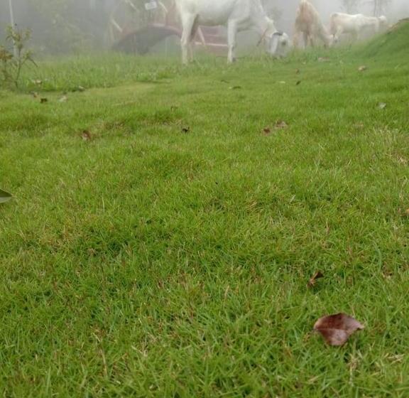 Tabor Hills Resort Vagamon