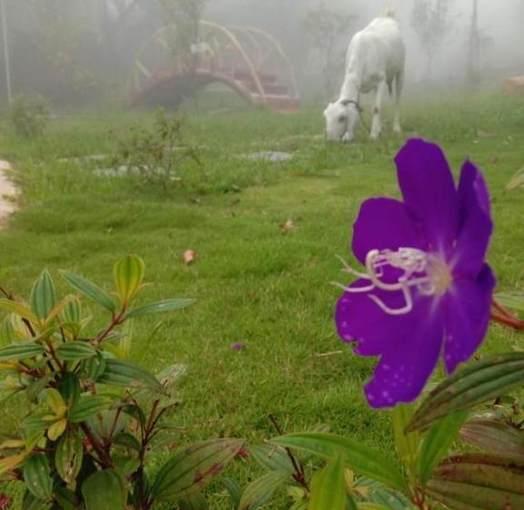 Tabor Hills Resort Vagamon