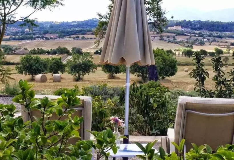 فندق Agroturismo Sa Rota D  En Palerm