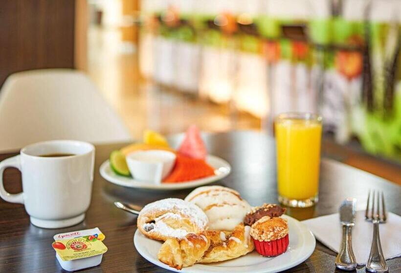 Otel Ibis Monterrey Valle