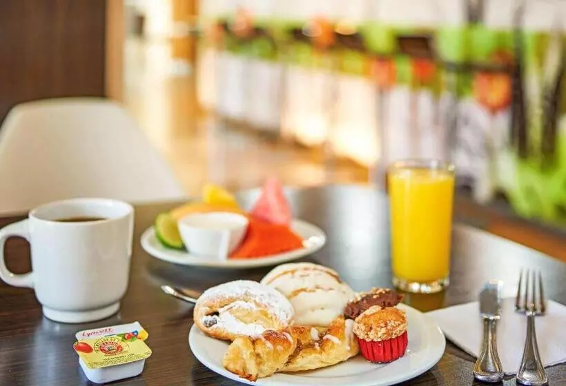 Отель Ibis Monterrey Valle