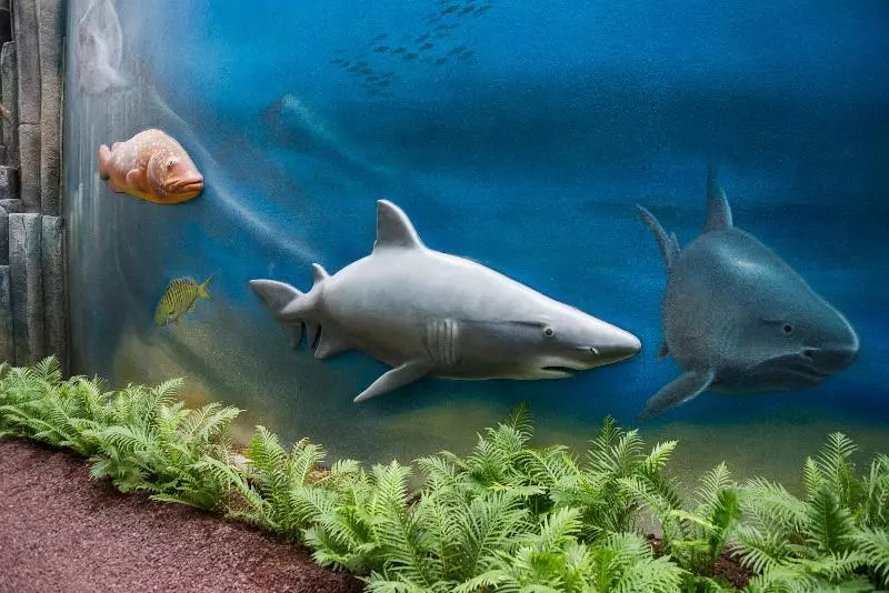 Hovima La Pinta Beachfront Family