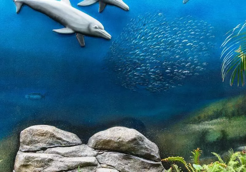 Hovima La Pinta Beachfront Family