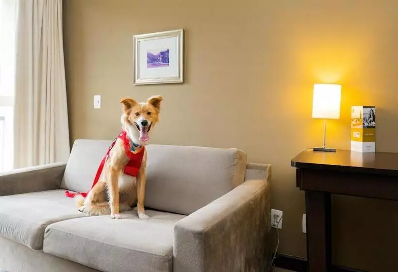 Mercure Jaragua Do Sul