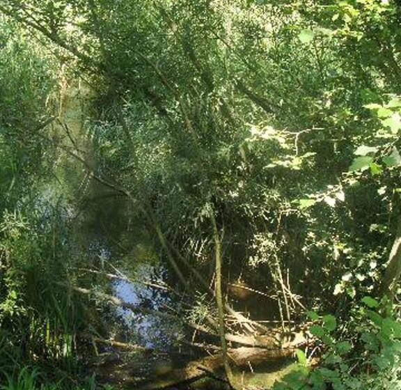 Appartementhaus Löwenzahn