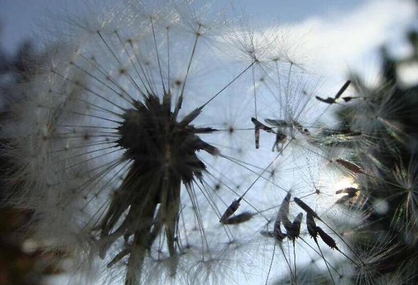 Appartementhaus Löwenzahn