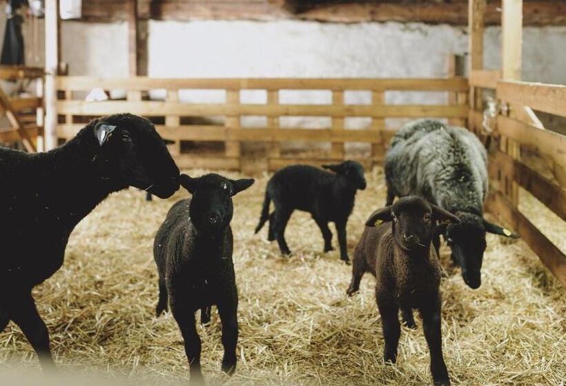 Appartements Liebe Heimat