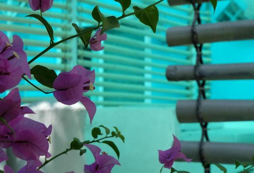 פנסיון Blue Paradise Residence