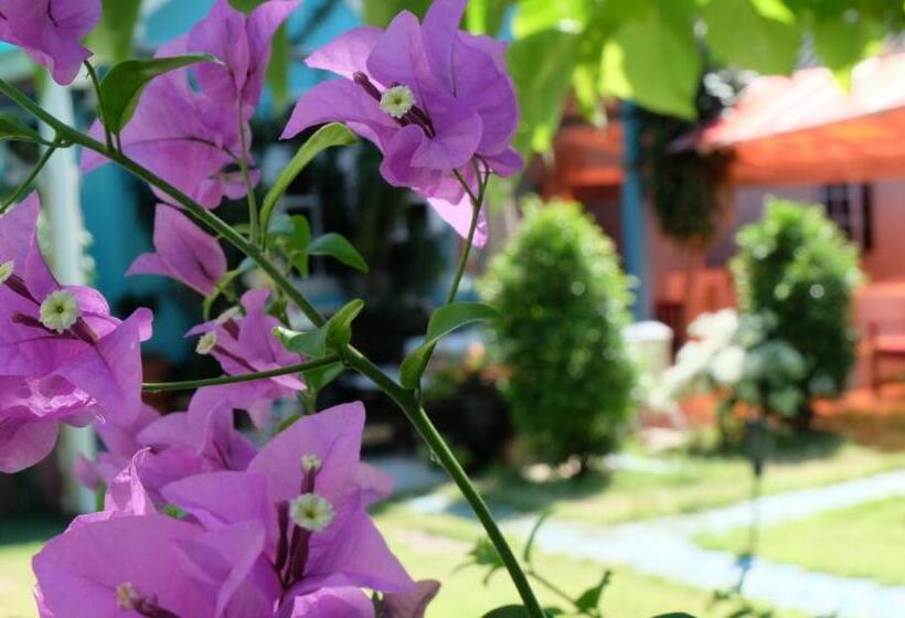 פנסיון Blue Paradise Residence