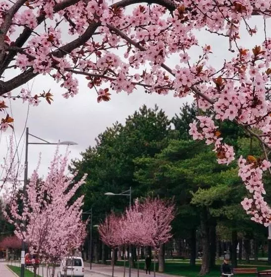 ペンション Guest House People