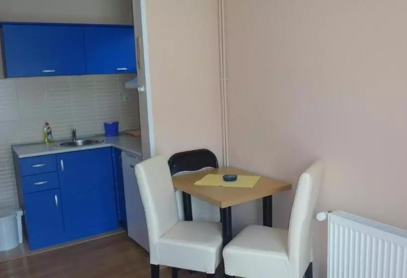 پانسیون Konak Vila Mirković