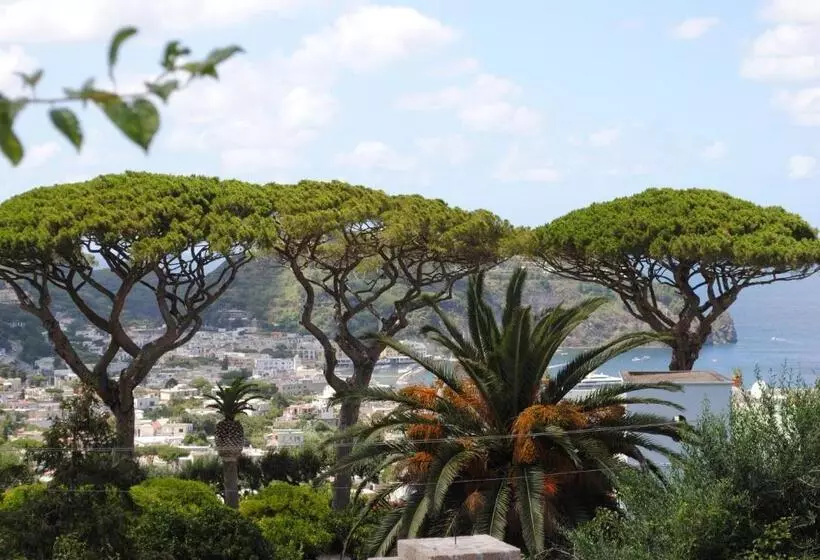 Appartamenti Ischia La Sentinella