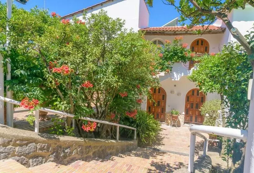 Appartamenti Ischia La Sentinella